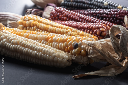 Tablou canvas variety of corn colors Guatemala