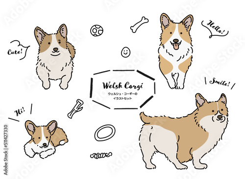 コーギー　犬の手書きイラストセット