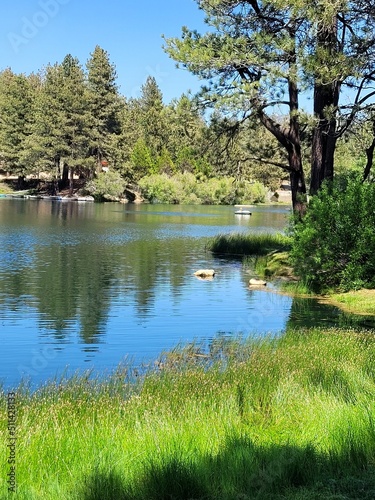 river in the park