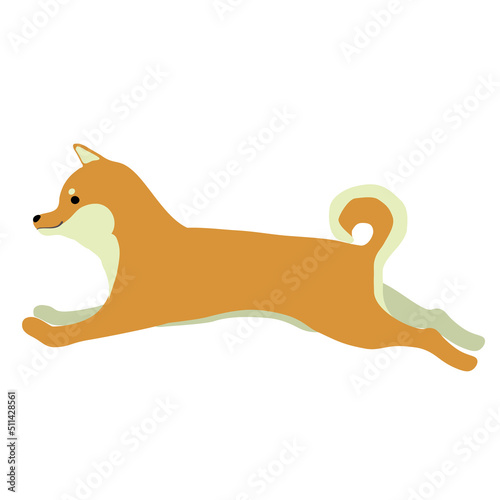 走る柴犬のイラスト素材