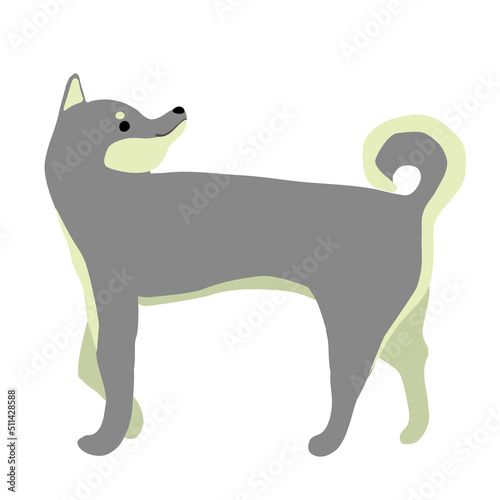 振り向きながら歩く黒柴のイラスト素材