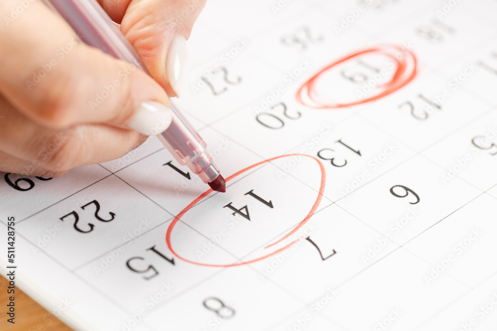 close up on employee woman hand using red pen to writing schedule on 14 day calendar 2022 to make an appointment meeting or manage timetable each day at house for work from home concept