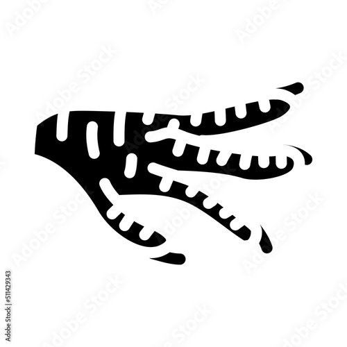 paws chicken glyph icon vector. paws chicken sign. isolated symbol illustration