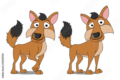 cute jackal animal cartoon graphic