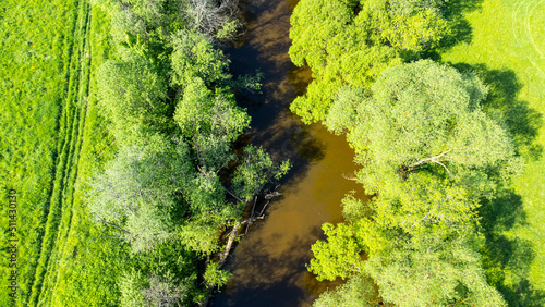 Fototapeta Naklejka Na Ścianę i Meble -  a bird's-eye view of a small river, which is located on a green floodplain meadow. a winding little river with trees on the shore, surrounded by green fields of meadows on a sunny summer day