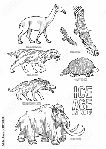 Collection of graphic prehistoric animals isolated on a white background