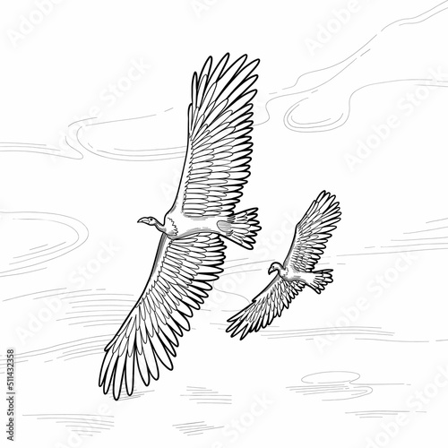 Two giant graphic teratorns flying in the blue cloudy sky.