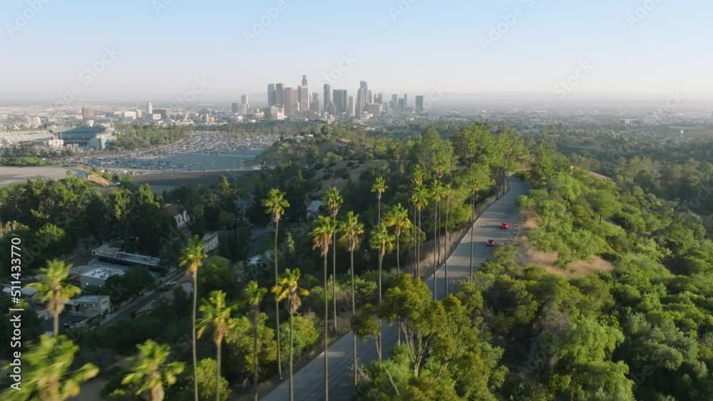 Drone flying above road lined with tall green palm trees. Palms in golden sunset light on Hollywood hills with scenic Los Angeles downtown panoramic view, California, USA aerial travel tourism footage