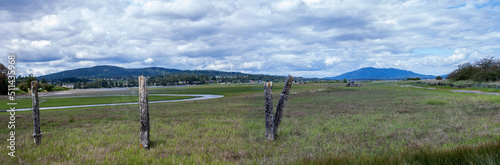 Island View Park, Saanch, Vancouver Island, British Columbia, Canada photo