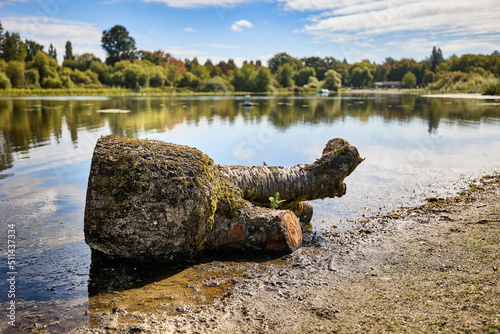 rocky coast of the lake with the log on the first plan.