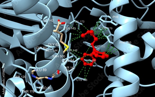 Histamine methyltransferase complexed with the antihistamine drug diphenhydramine (red). 3D cartoon model with interacting residues labeled, PDB 2aot, black background. photo