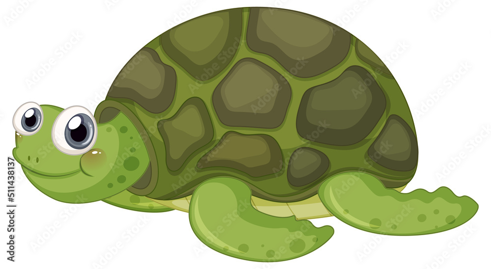 Obraz premium Cute turtle cartoon character on white background