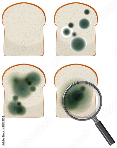 Inedible bread with mould