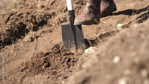 Wallpaper Mural Man digging earth with a shovel in his garden. Cultivation of the land before planting seedlings
 Torontodigital.ca