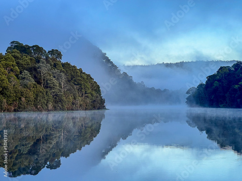 Morning mist on the Pieman River, Tasmania
