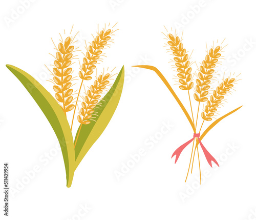 Wheat bunch ears. Oatmeal bouquet. Wheat spikelets. Wheat, rye, rye ear, symbol of farming, bread, harvest. Whole stems, an organic vegetarian element of food packaging. Vector flat illustration.