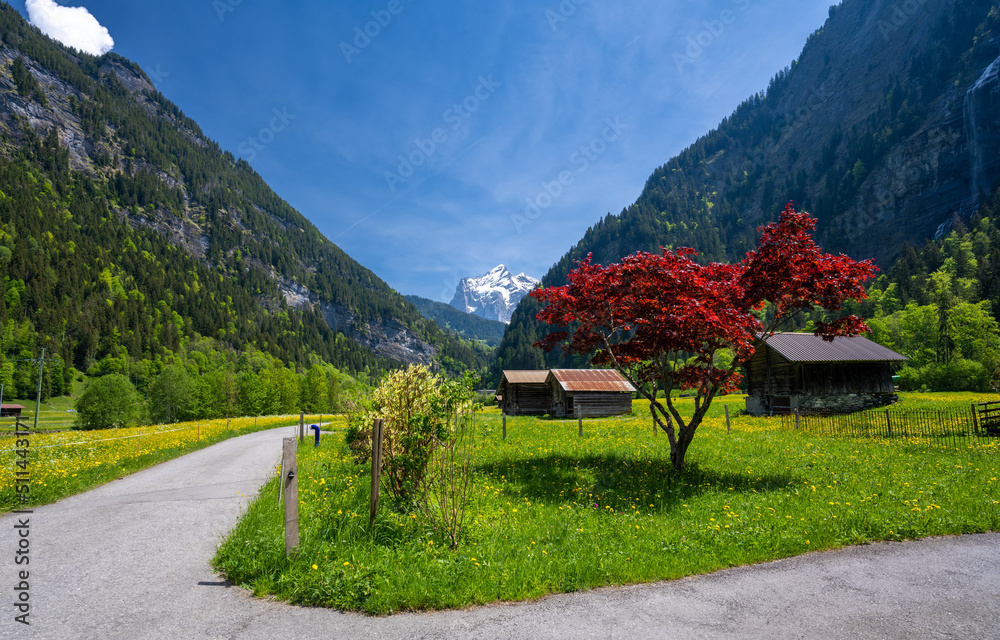 alpine valley in Grindelwald in Switzerland