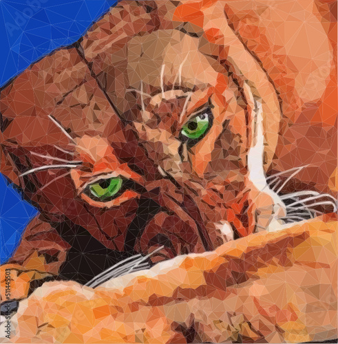 Löwin beim Fressen. Kraftvoller Blick. Portrait eines weiblichen Löwen als Vektor in Low Poly Art. 