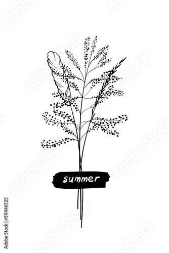 A cute bouquet of blades of grass, a summer collection of different herbs with a piece of paper with an inscription glued on. On a white background