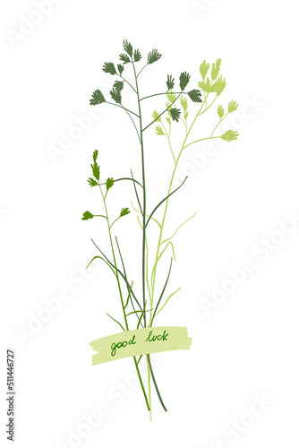 A cute bouquet of blades of grass, a summer collection of different herbs with a piece of paper with an inscription glued on. On a white background