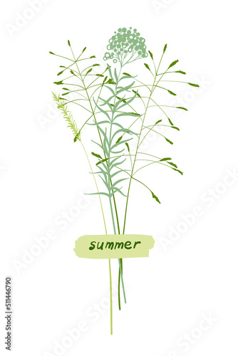 A cute bouquet of blades of grass, a summer collection of different herbs with a piece of paper with an inscription glued on. On a white background