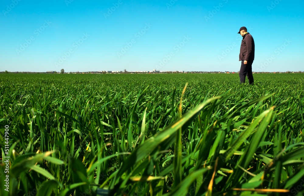 Young man walking in green field. Handsome farmer.