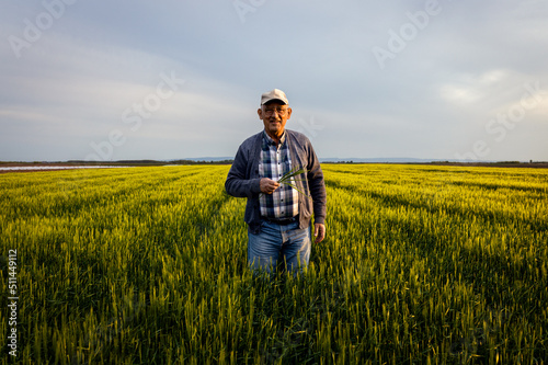 Portrait of senior farmer standing in barley field. © Zoran Zeremski