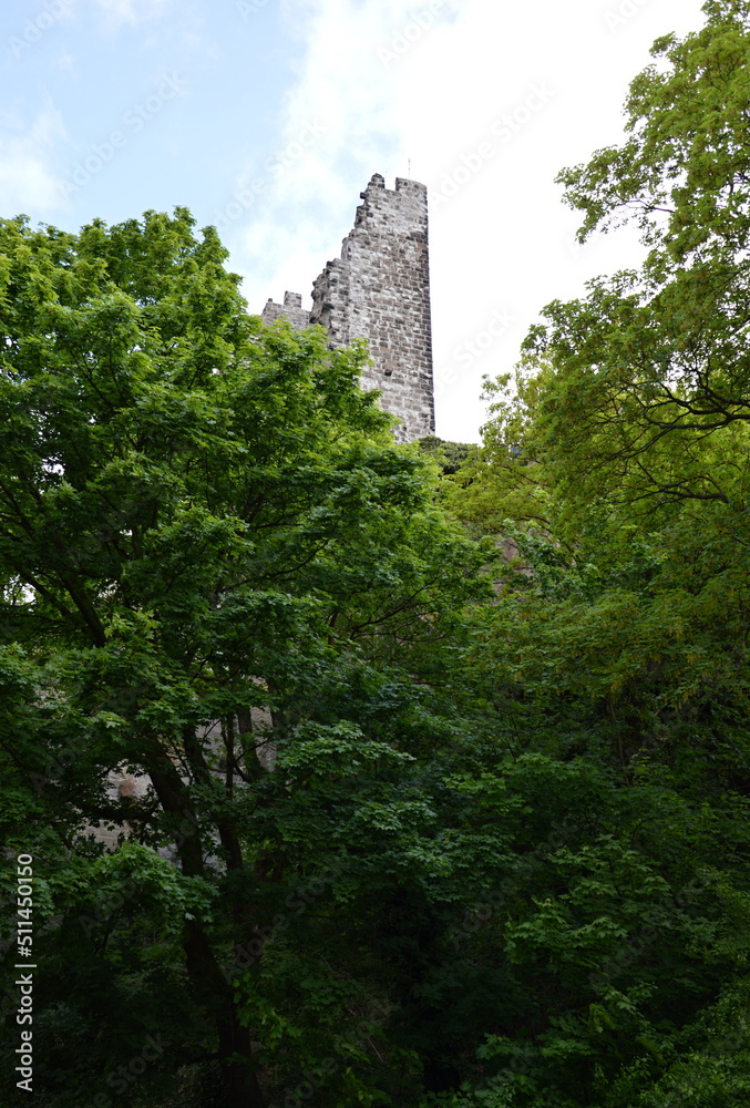 Ruine der Burg Drachenfels im Siebengebirge, Nordrhein - Westfalen