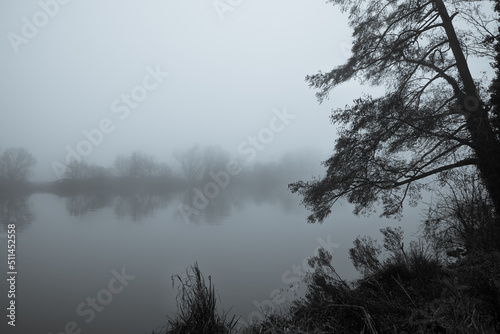 Nebel über einem See