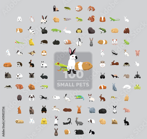 One Hundred Small Pets Cartoon Vector Illustration Set photo