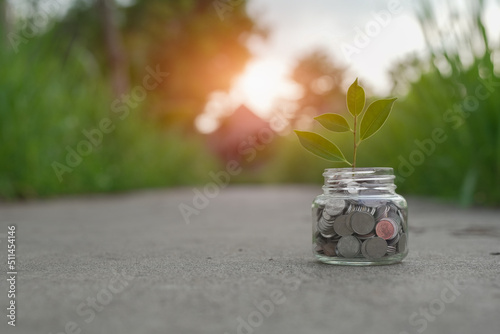 Saving money by hand puting coins in jug glass on nature background © aekachai