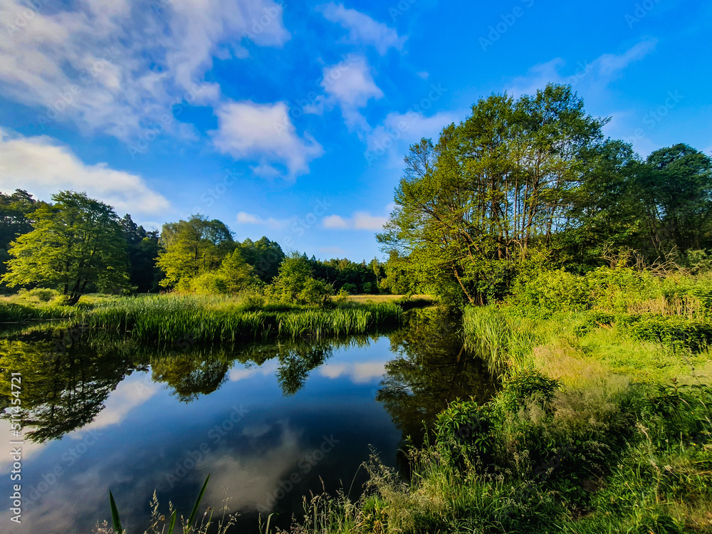 lake in the forest