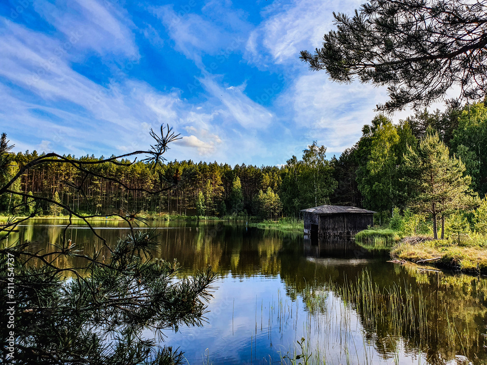 Fototapeta premium reflection of trees in the lake