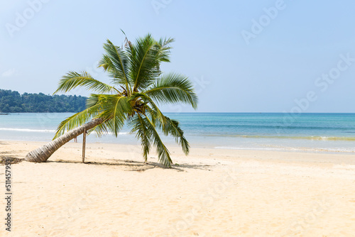 Beach background, coconut tree on Tropical beach background, tropical island in south of Thailand, summer holiday destination in Asia