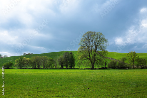 Green hills and cloudy sky