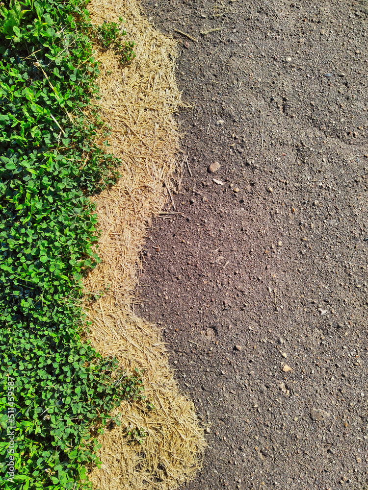 Gray asphalt road and green grass. Symbol of the capture of nature. Gray asphalt road and green grass. Symbol of the capture of nature.