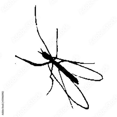 Illustration of an insect. Sketch of a flying bug. Hand-drawn line 