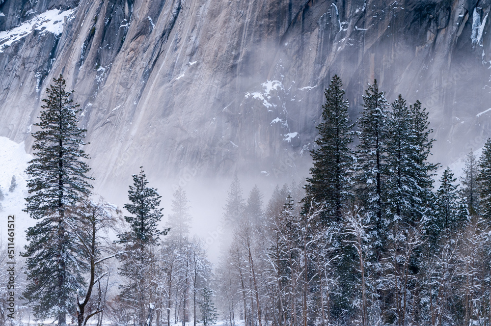 A thin layer of mis has developed in Yosemite valley floor on a snowy winter afternoon, just before sunset.
