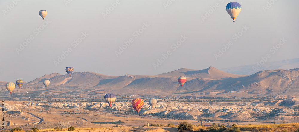 banner with many hot air balloons in the sky over a valley in Cappadocia, Nevsehir, Turkey in a beautiful summer day. sofy focus - obrazy, fototapety, plakaty 