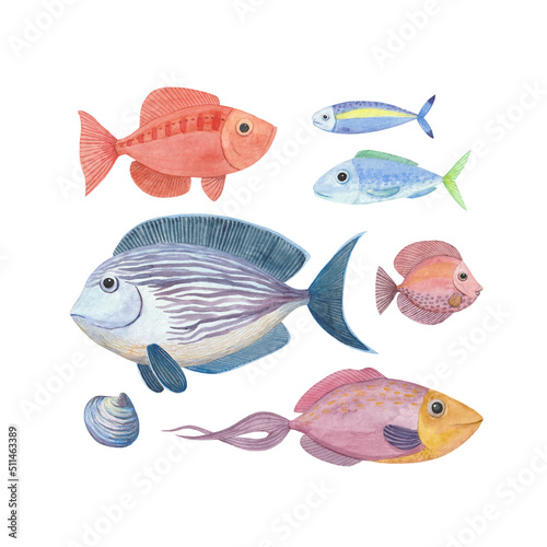 Valokuva Set of watercolor illustrations with fish