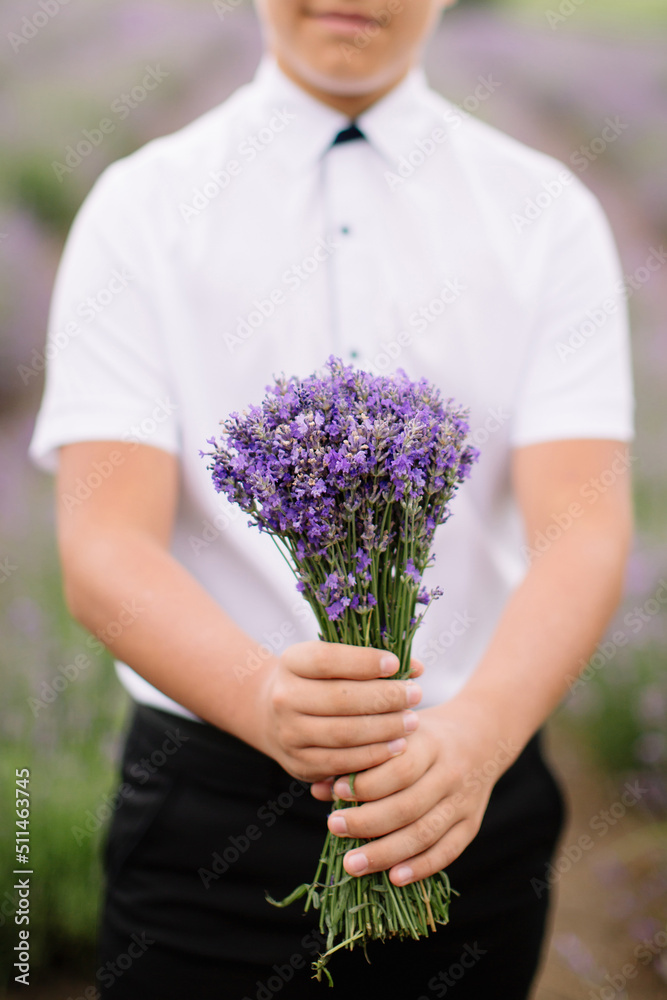 Fototapeta premium Adorable smiling child with bouquet of lavender flower looking at camera on the provence violet field. Little toddler boy in elegant suit holding lavender flowers as gift for mom. High quality photo