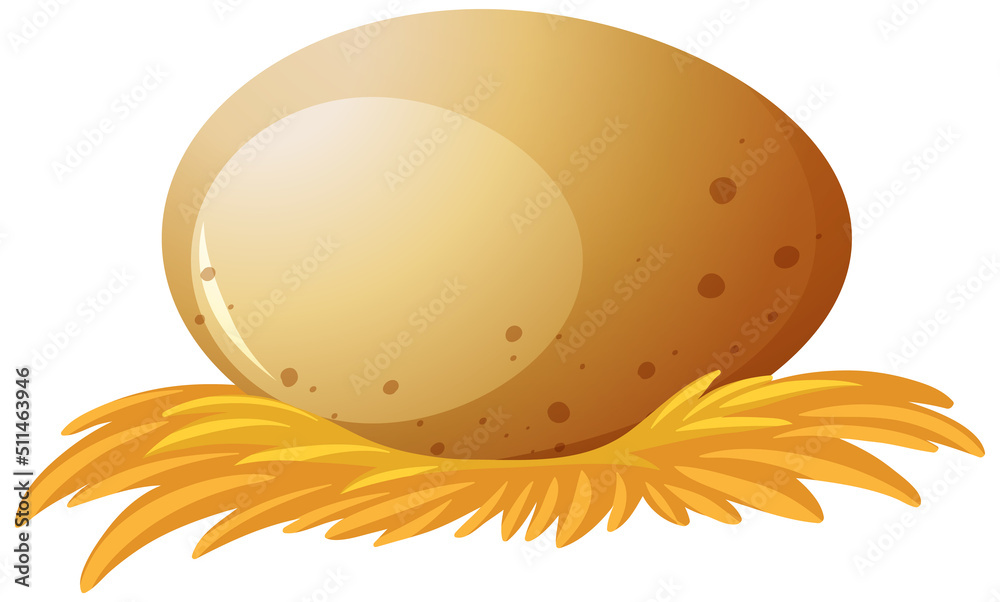 Chicken or duck egg on hay nest Chicken or duck egg on hay nest