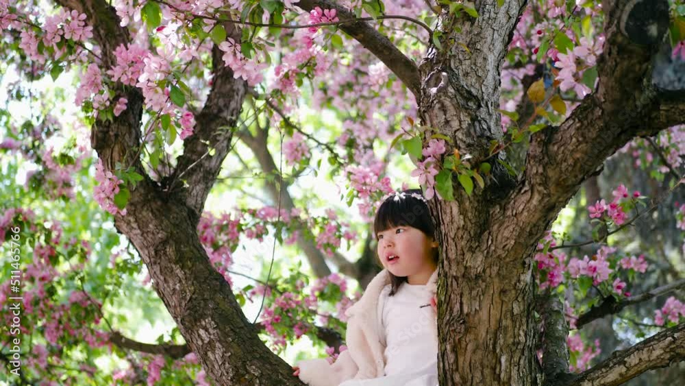 Korean girl in a white light fur coat and a headband sitting on a tree branch in a garden with cherry blossoms. Korean girl in a white light fur coat and a headband sitting on a tree branch in a garden with cherry blossoms.