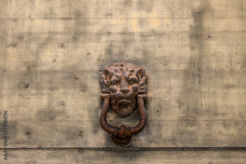 stara mosiężna kołatka w kształcie głowy lwa