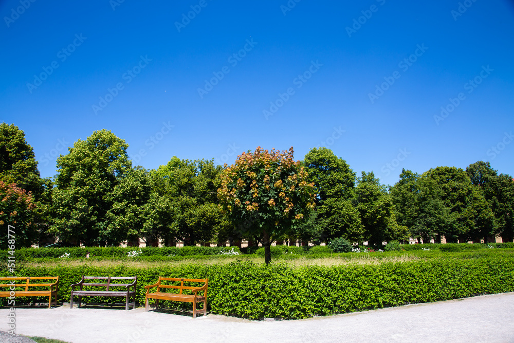 Hofgarten in Munich, blue sky, blooming plant, tourist hotspot