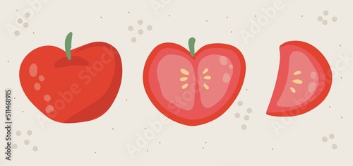 Fototapeta Naklejka Na Ścianę i Meble -  Hand drawn red Tomato set in cartoon style. Healthy food elements. Vector illustration isolated on white background