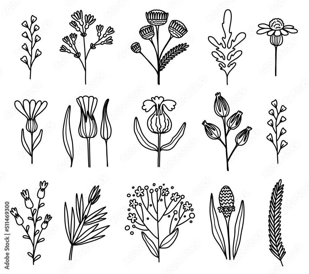 Flower graphic design. Vector set of floral elements with hand drawn flowers