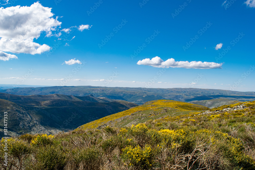 Fototapeta premium yellow mountain landscape