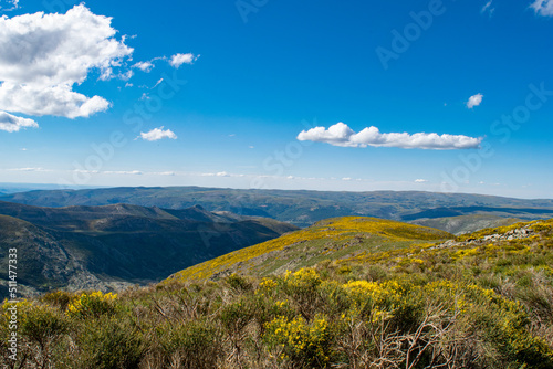 yellow mountain landscape photo