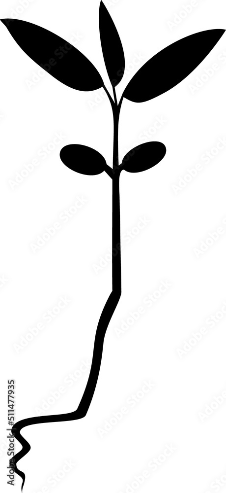Black silhouette of plant sprout with root isolated on white background Black silhouette of plant sprout with root isolated on white background